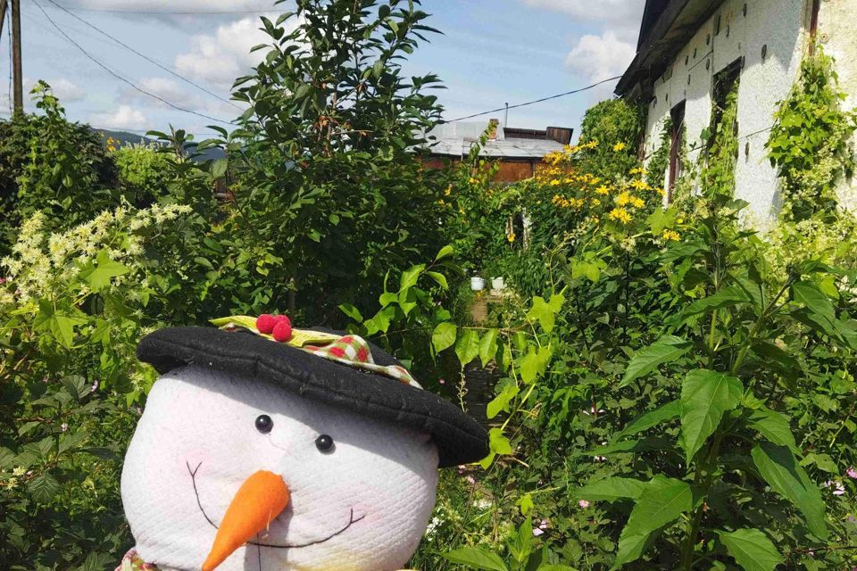 Купить Дачу В Днт Янтарь Екатеринбург