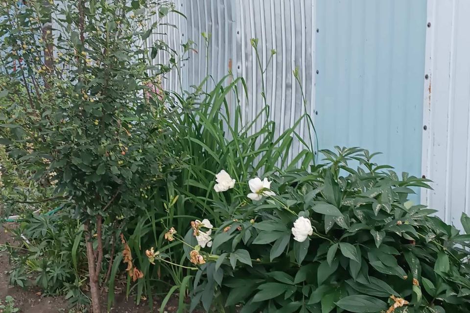 Купить Дом Снт Колющенец Челябинск