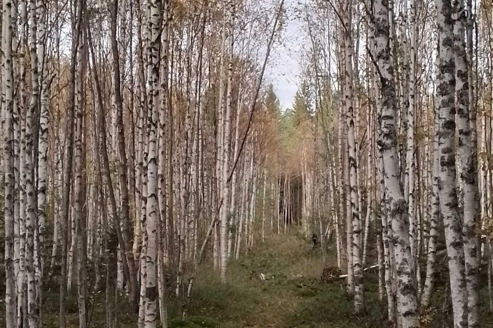 Купить Земельный Участок В Центре Города Архангельска
