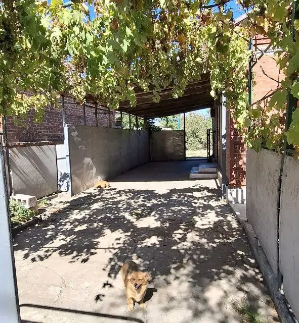 Продаётся 1-этажный дом, 62 м²