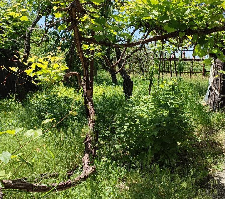 Продаётся 1-этажный дом, 60 м²