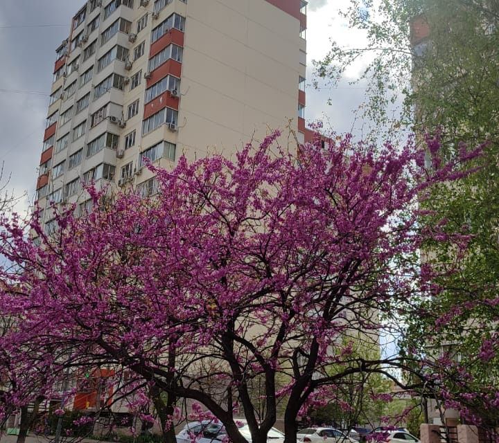 Продаётся 2-комнатная квартира, 65.1 м²