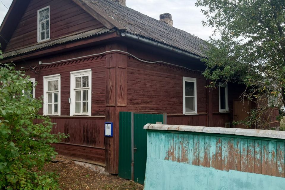 Как выглядят полыновцы. Полыновка боровичи. Авито боровичи. Полыновка боровичи. Полыновка боровичи.