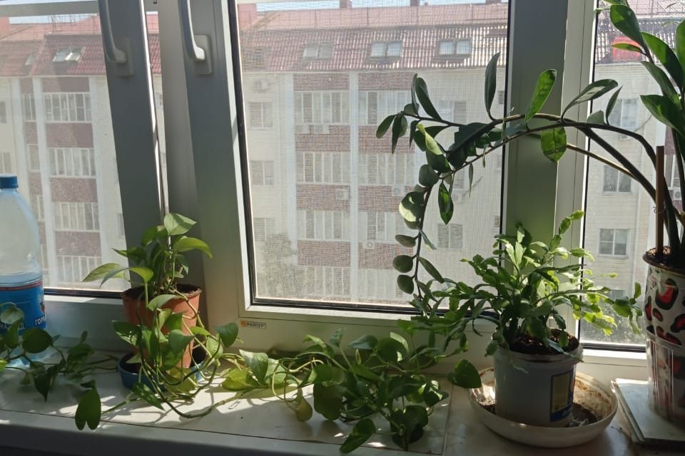 Продаётся 2-комнатная квартира, 50.6 м²
