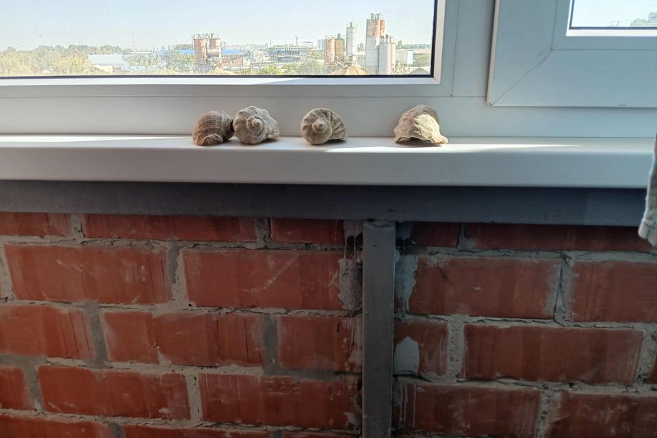 Продаётся студия, 20 м²