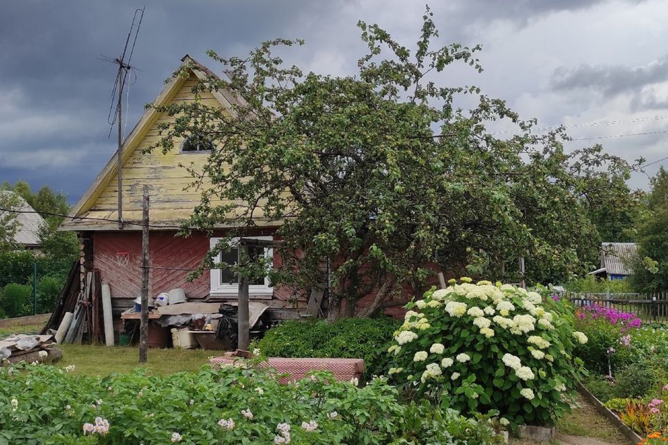 Тихвин садоводство кайвакса. Погода в садах кайвакса тихвинский. Погода в садах кайвакса тихвинский. Тихвин садоводство кайвакса. Погода в садах кайвакса тихвинский.
