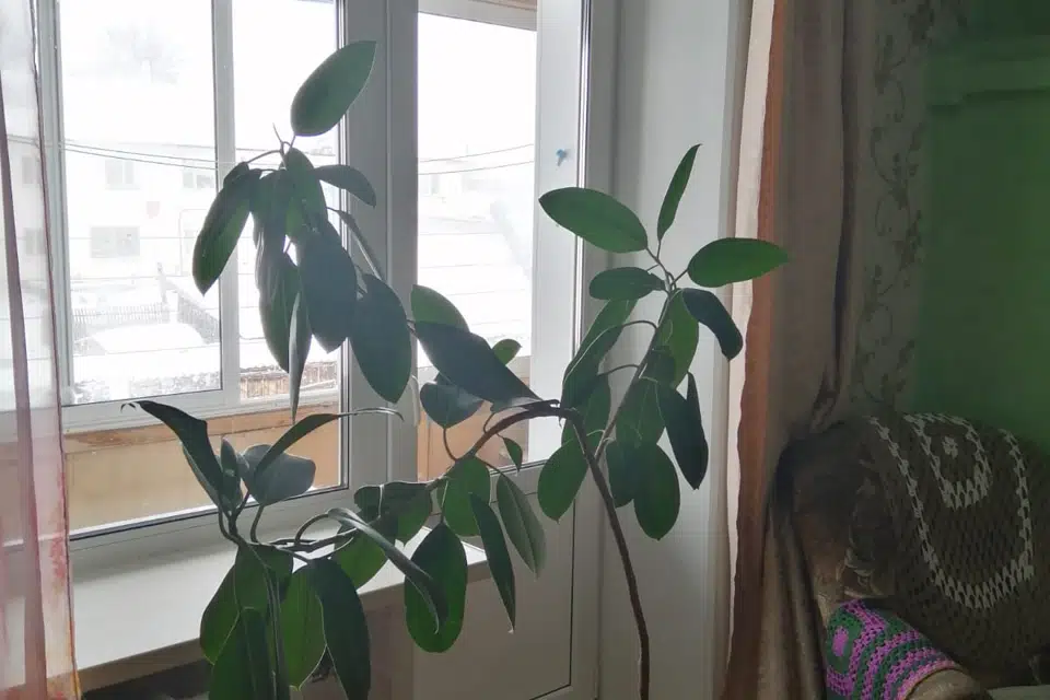 Продаётся 2-комнатная квартира, 40.5 м²