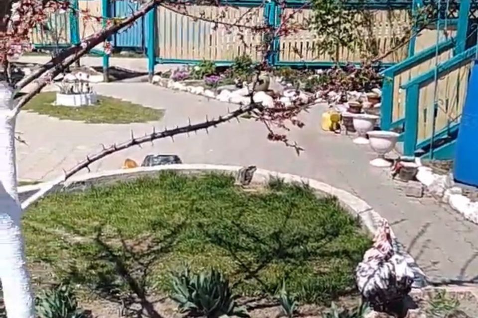 Купить Дачу В Снт Энтузиаст Еао