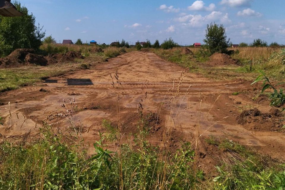 Деревня Петрово Томская область. Петрово Томская область.