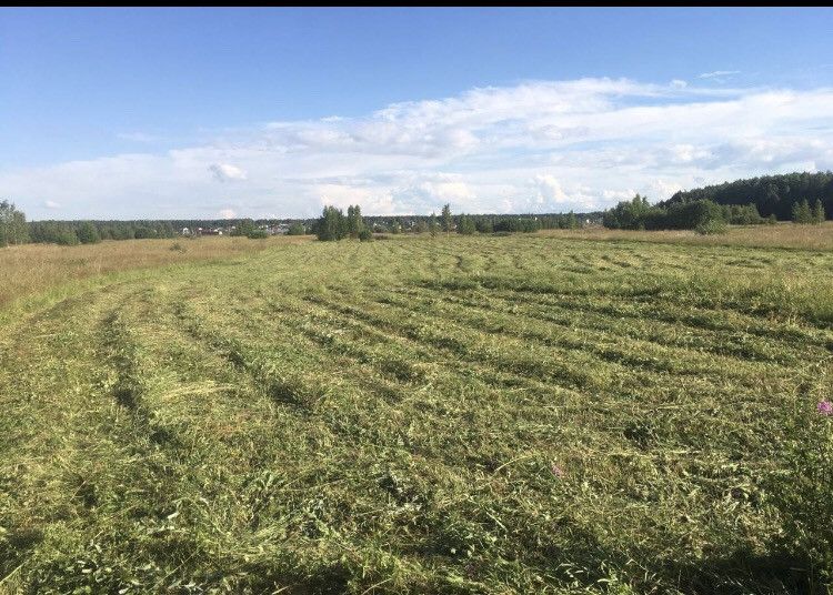 Купить Землю В Деревне От Собственника