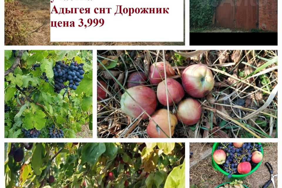 Купить Участок В Новой Адыгее Снт Дорожник