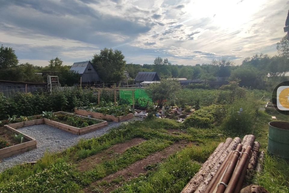 Хабаровский Край Купить Дом Недорого