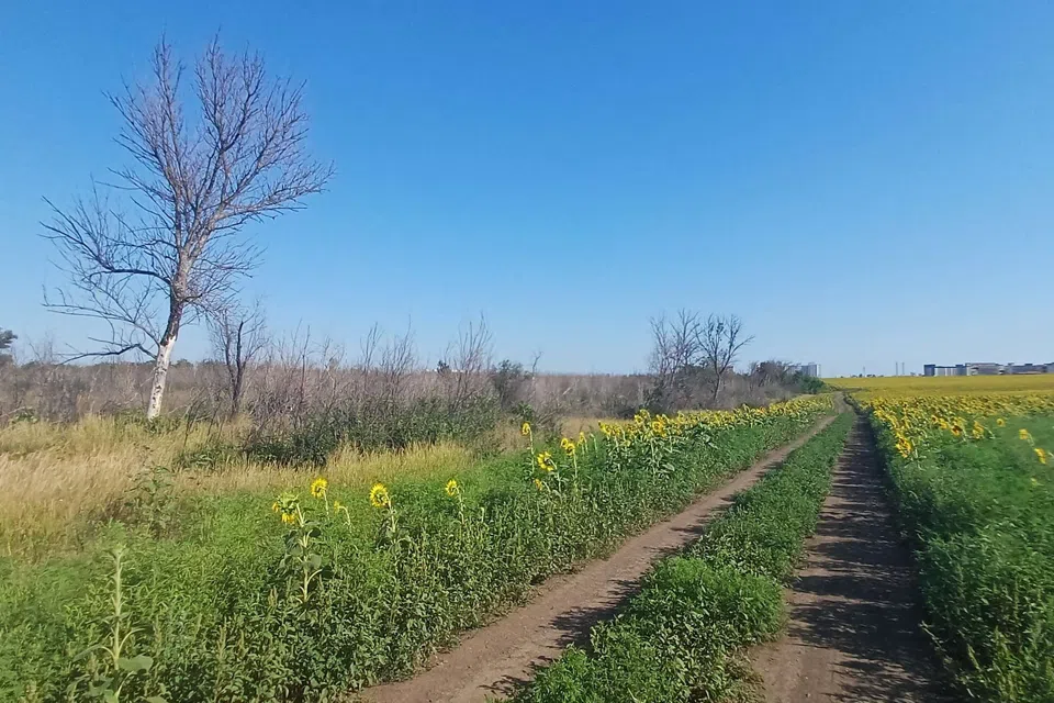 Продаётся участок, 45 сот., Фермерский
