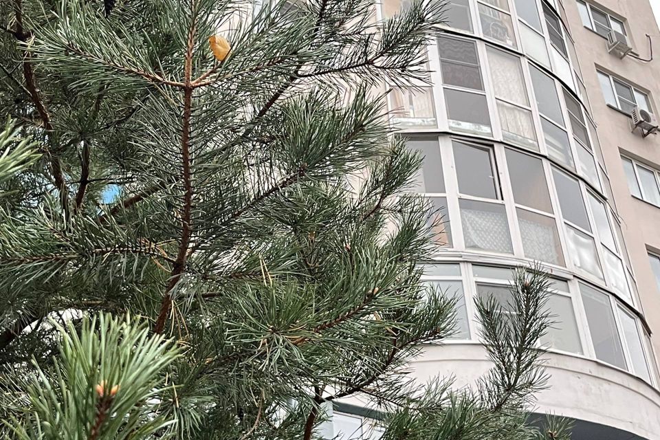 фото отбъекта