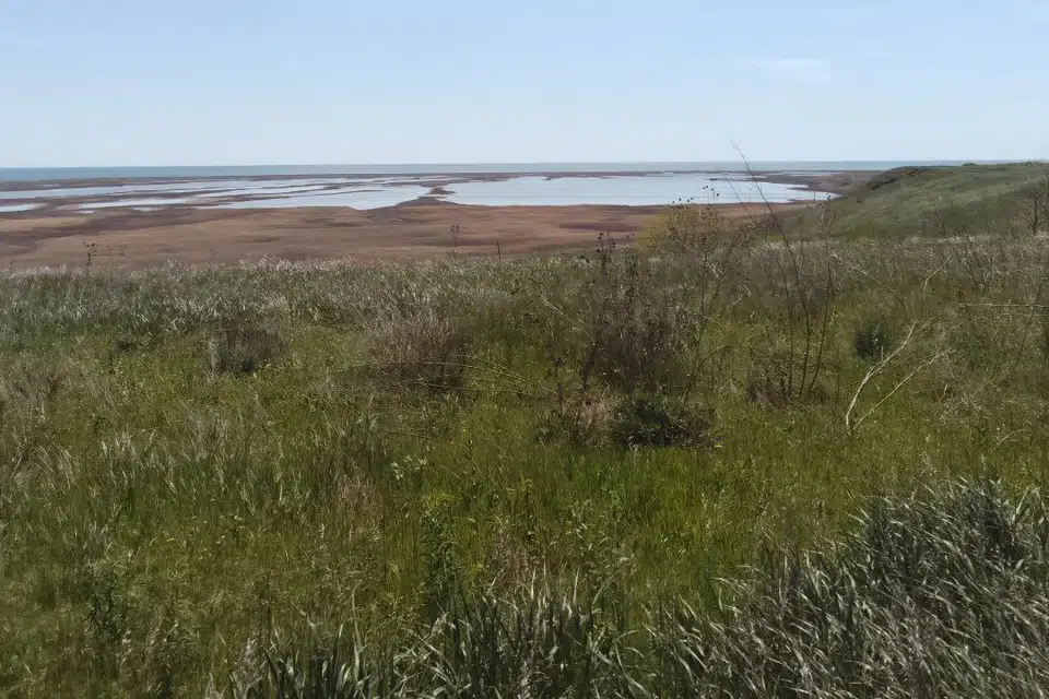 Продаётся участок, 163 сот., ИЖС