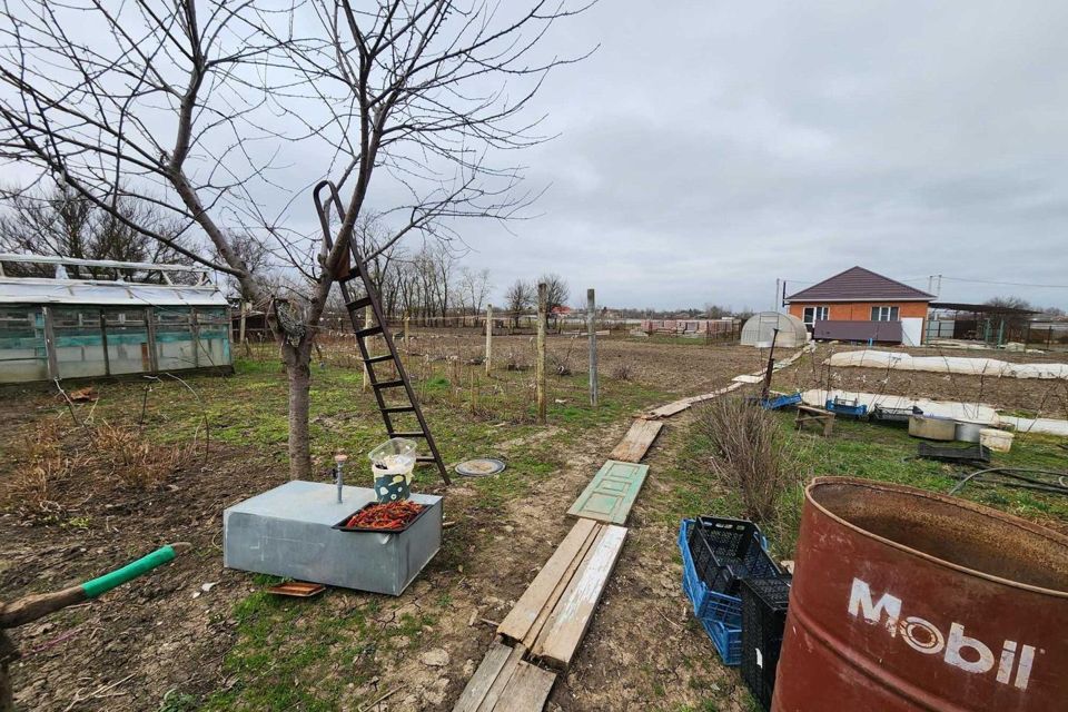 Гостиницы Новомышастовской, Краснодарский край — лучшие цены на отели 