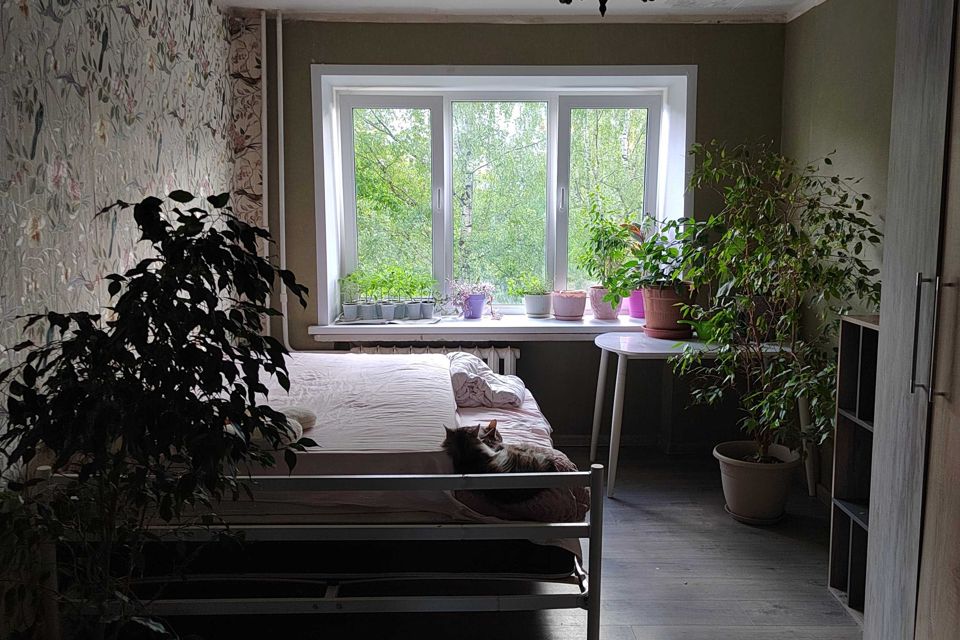 Сдаётся 3-комнатная квартира, 65 м²