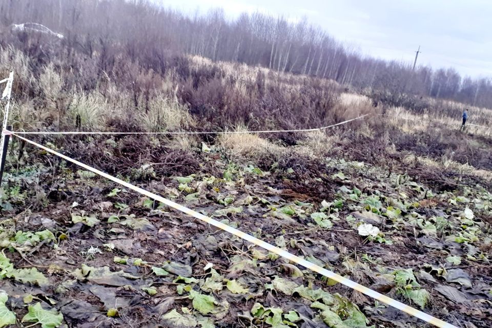 Купить Дом В Петрилово Костромской Район