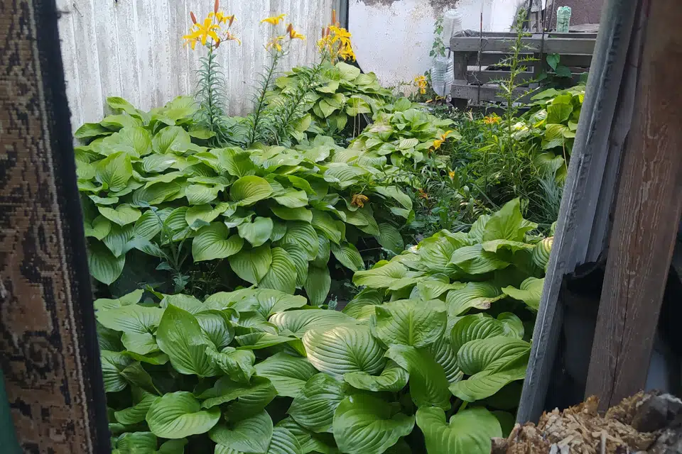 Продаётся 1-этажный дом, 49.8 м²