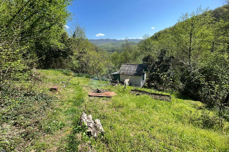 Купить Участок В Сочи Пластунка