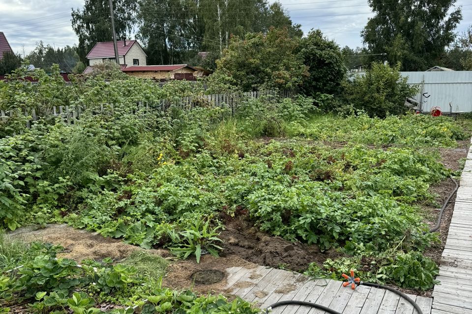 Основы ландшафтного дизайна. Пошаговое руководство