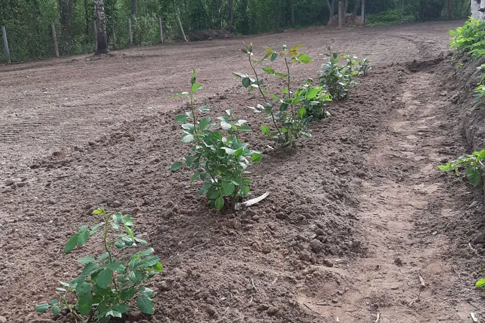 Продаётся участок, 12 сот., ИЖС
