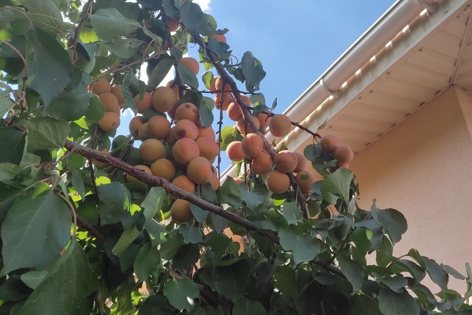 Продаётся 2-этажный дом, 251.9 м²