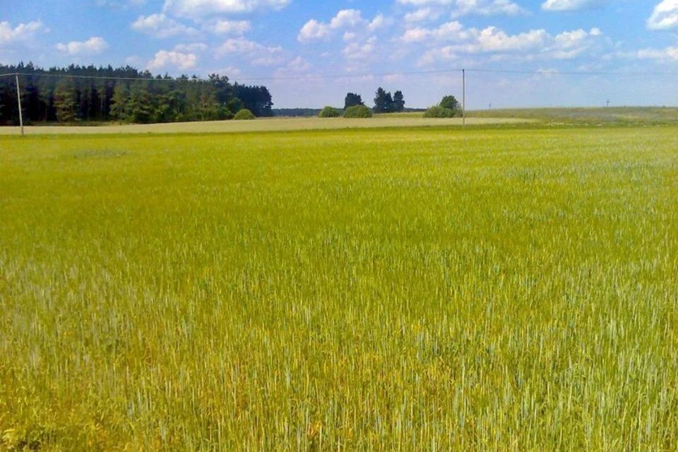 Купить Участок В Поле В Коротать