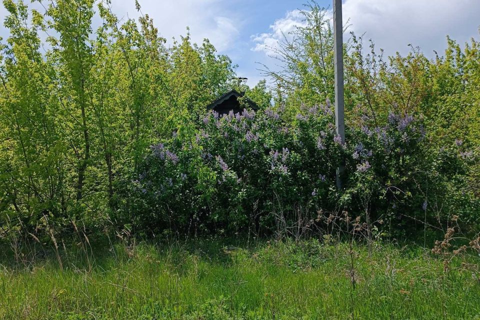 Авито Купить Дом В Крестово Городище