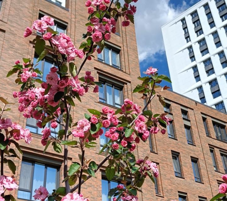 Продаётся 3-комнатная квартира, 67 м²