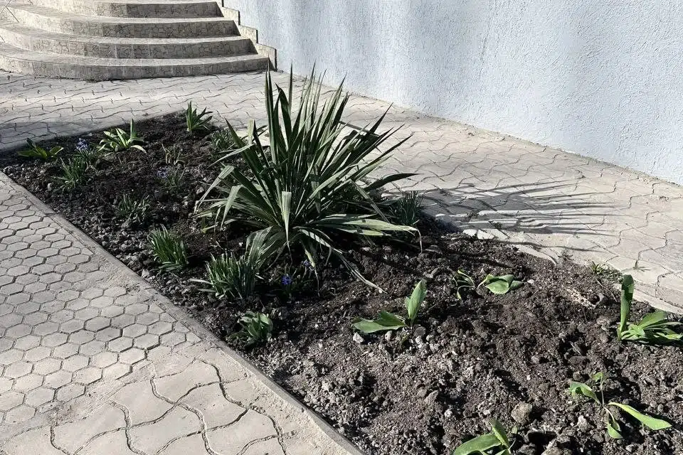 Продаётся офис, 115.4 м²