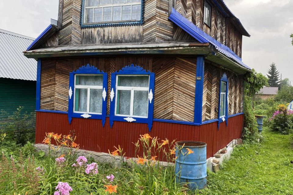 Апанас новокузнецкий. СНТ кедр Первомайка