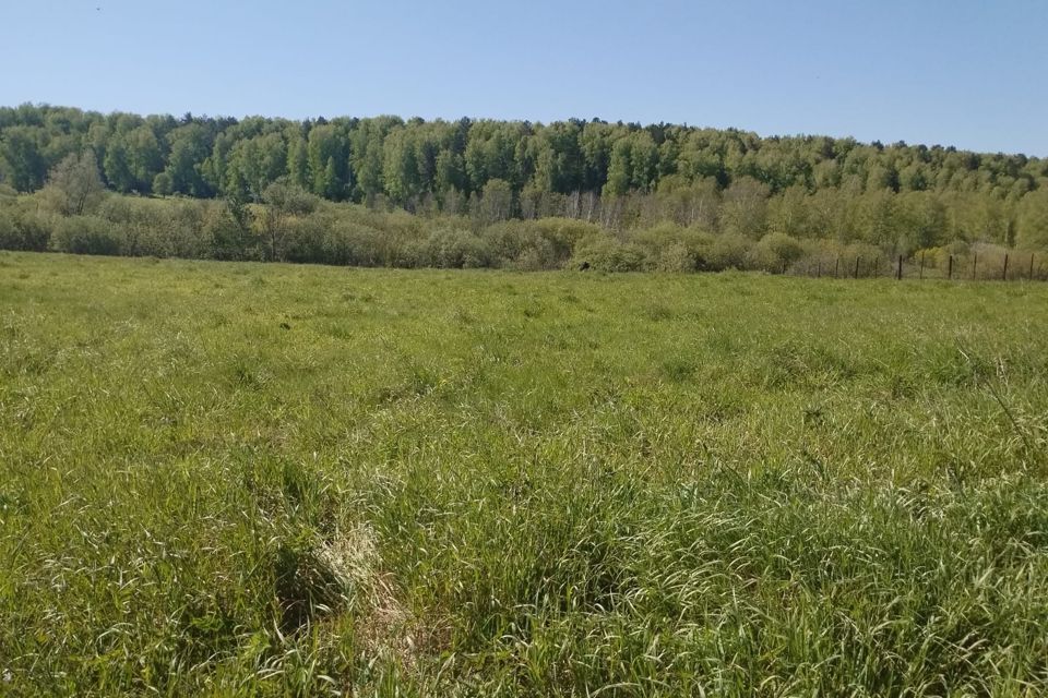 Купить Участок В Сокуре Новосибирской Области