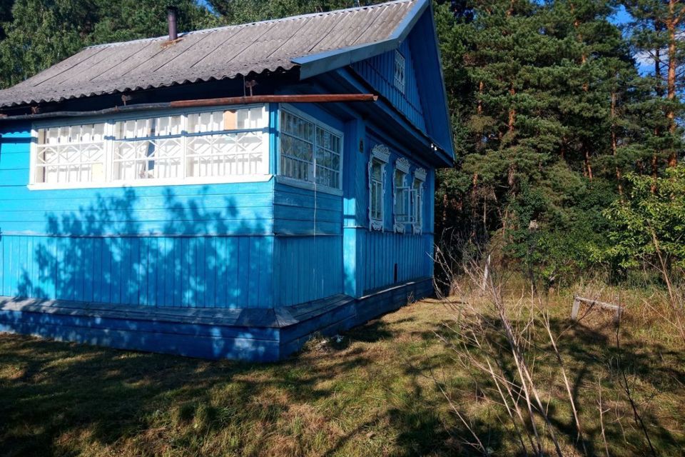 Озеро Кубыча в Тверской области: рыбалка, отдых, простой любителей