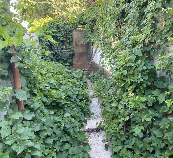 Продаётся 1-этажный дом, 54 м²