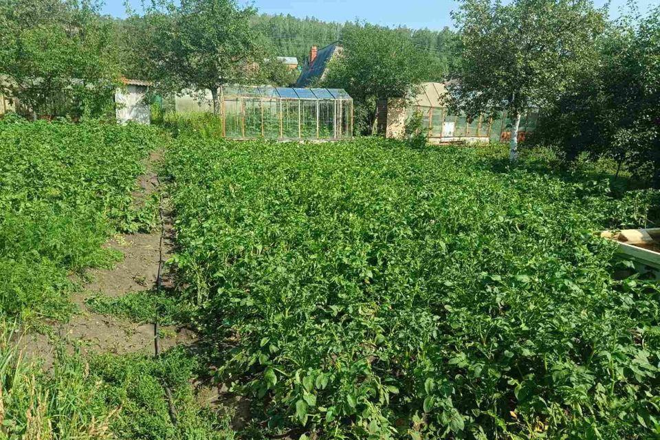 Купить Участок В Челябинской Области Недорого