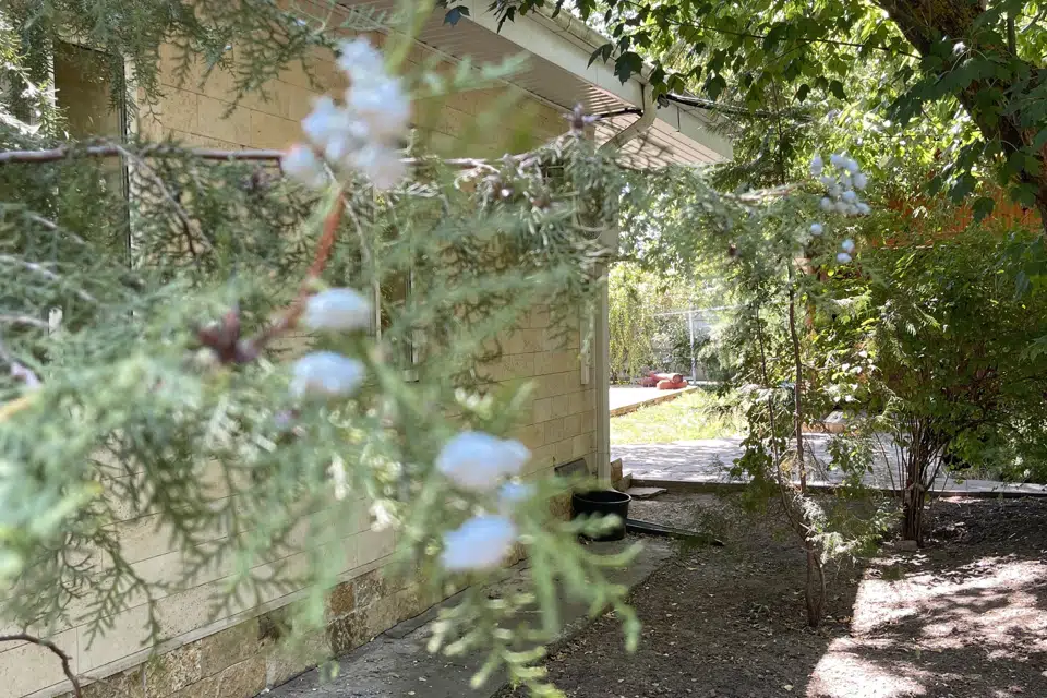 Продаётся 1-этажный дом, 245 м²