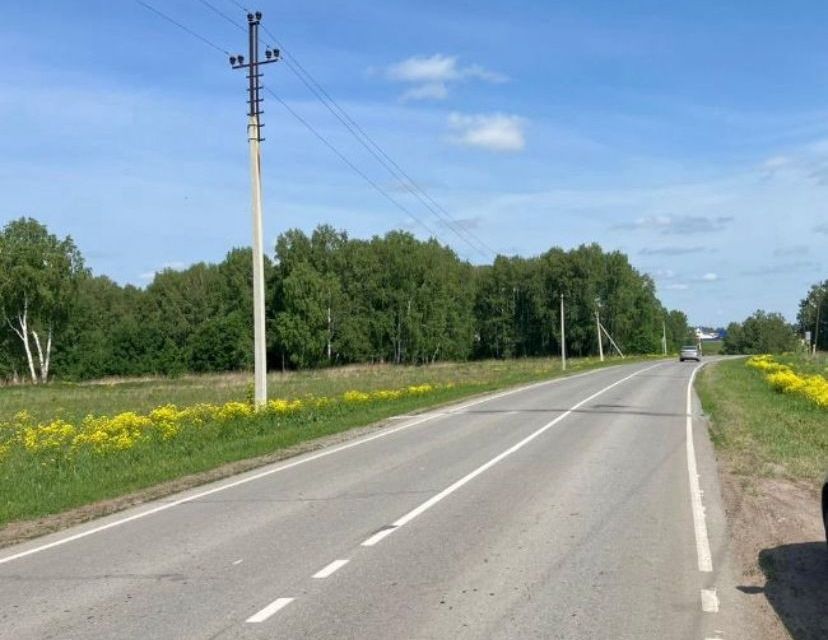 Купить Участок В Сокуре Новосибирской Области