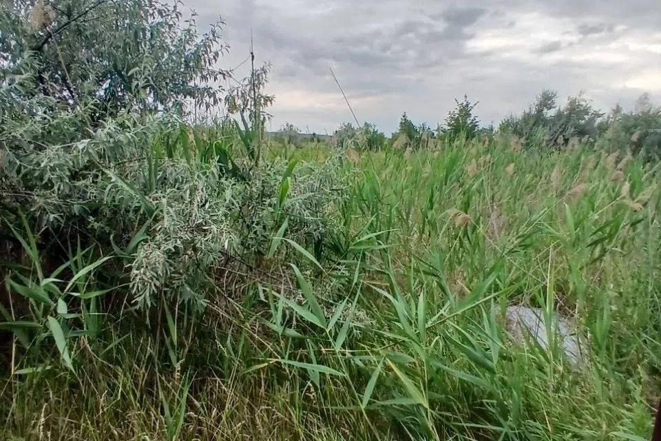 Продаётся участок, 10 сот., ИЖС