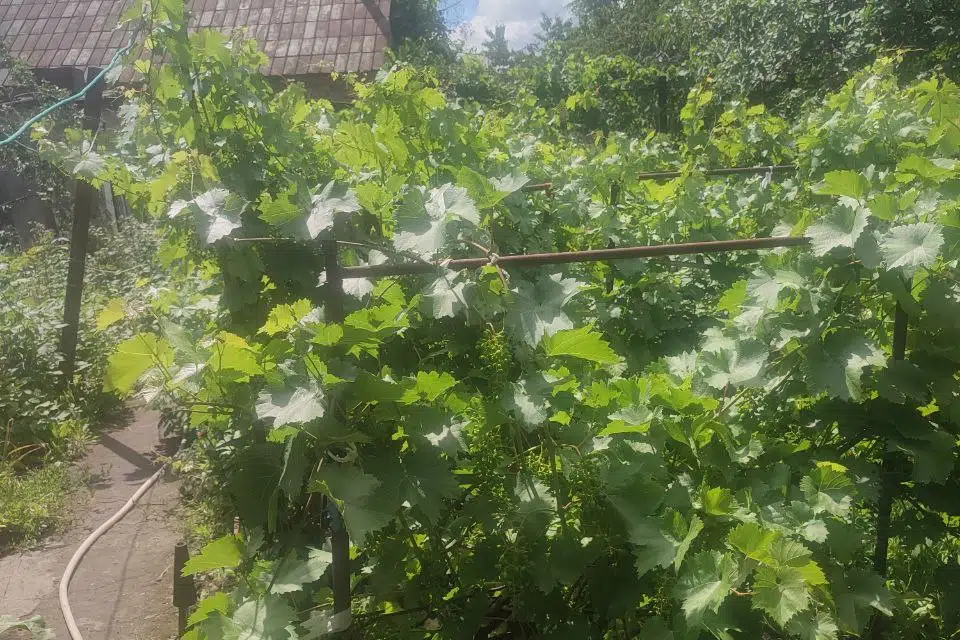 Продаётся 1-этажный дом, 72 м²