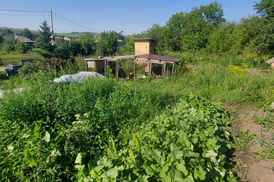 Купить Дачу В Прокопьевске Керлегеш Снт Лесное