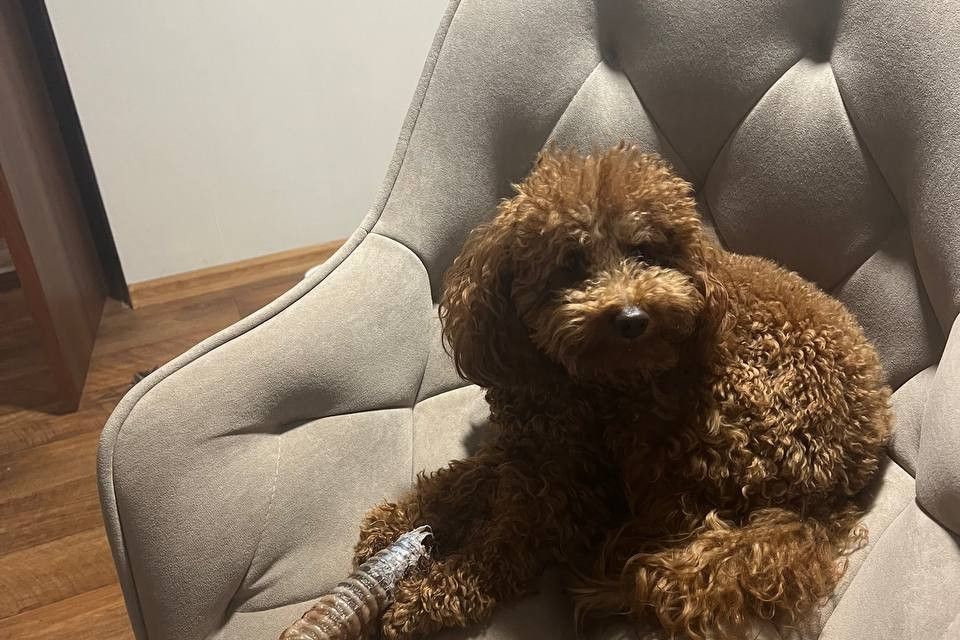 Продаётся 3-комнатная квартира, 44.9 м²