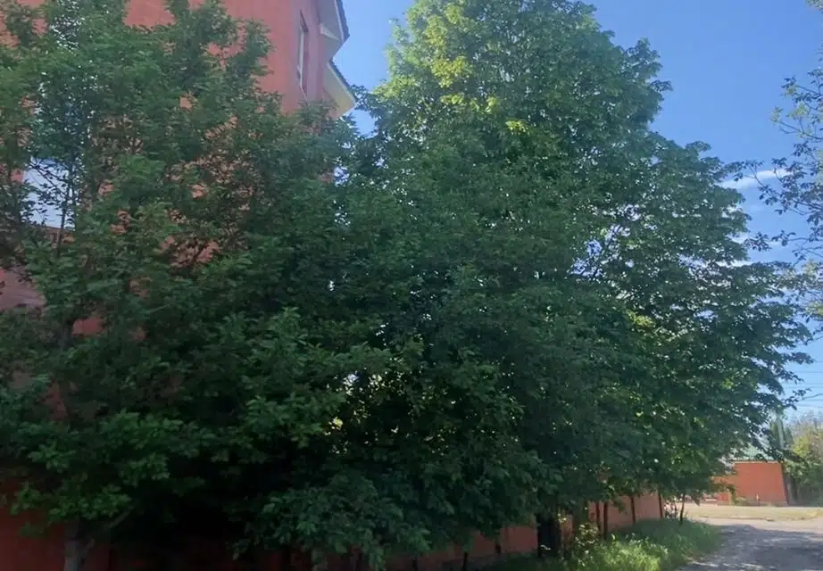 Продаётся 4-этажный дом, 436.5 м²
