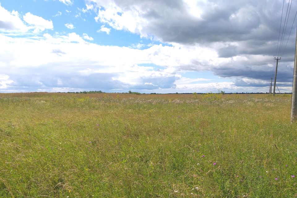 Новгородская Область Купить Участок Ижс