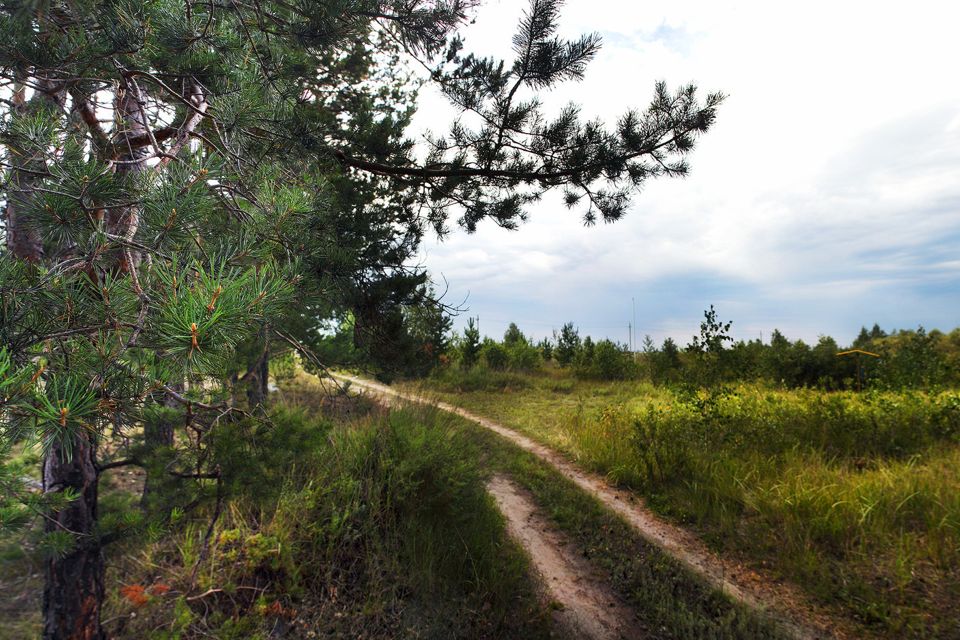 Лукино курганская область. Белый Яр Курган деревня. Урочище белый Яр Курганская область. Кетово улица Боровая. Каясан Курганская область