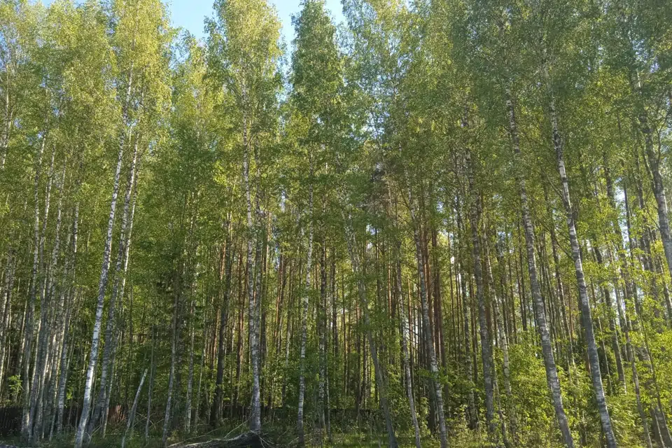 Продаётся участок, 17.5 сот., ИЖС