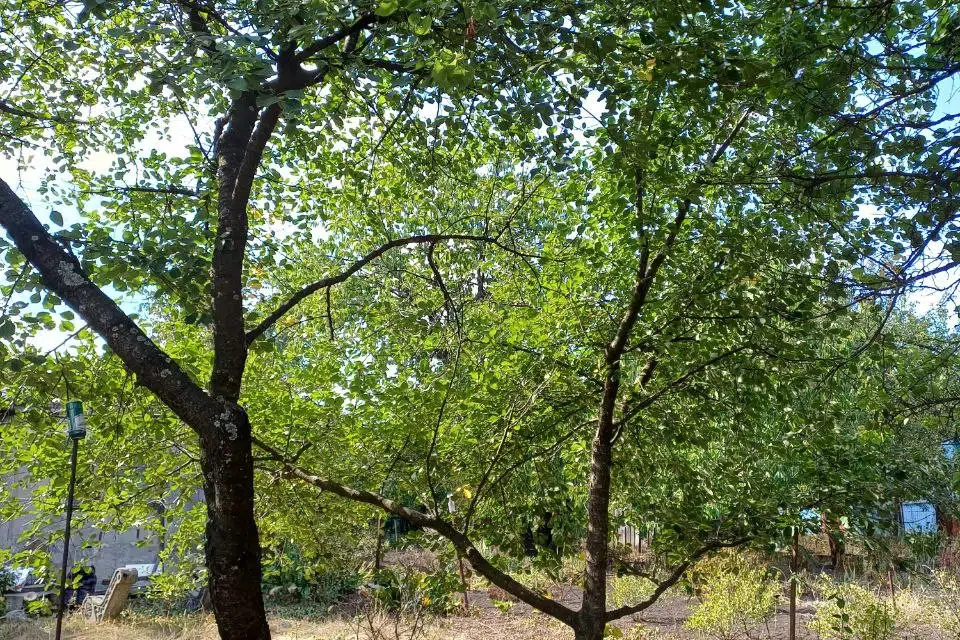 Продаётся участок, 4.7 сот., Садовый