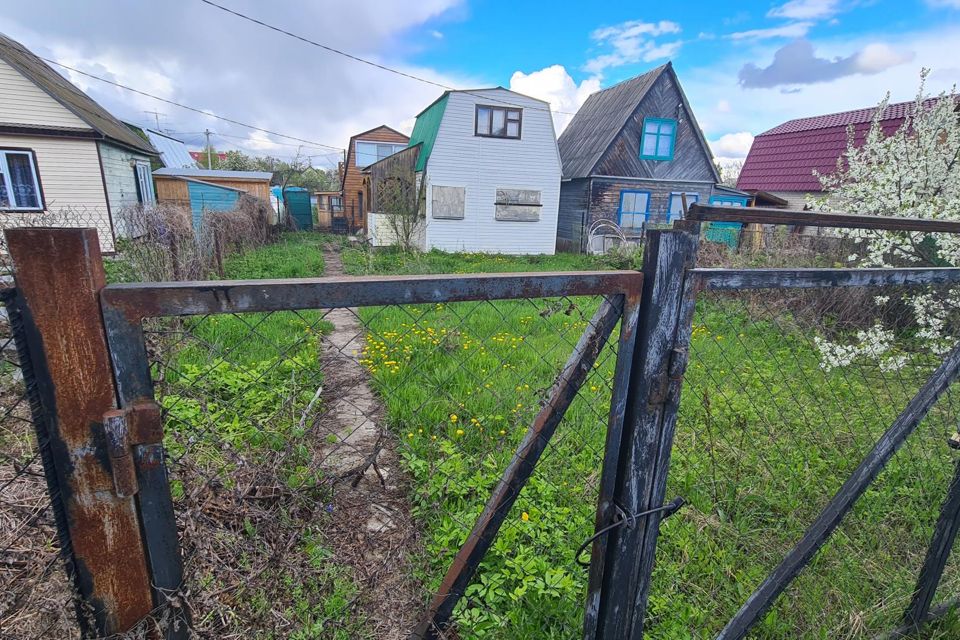 Купить Дачу В Васильево Недорого