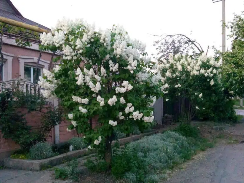 Продаётся 1-этажный дом, 90.9 м²