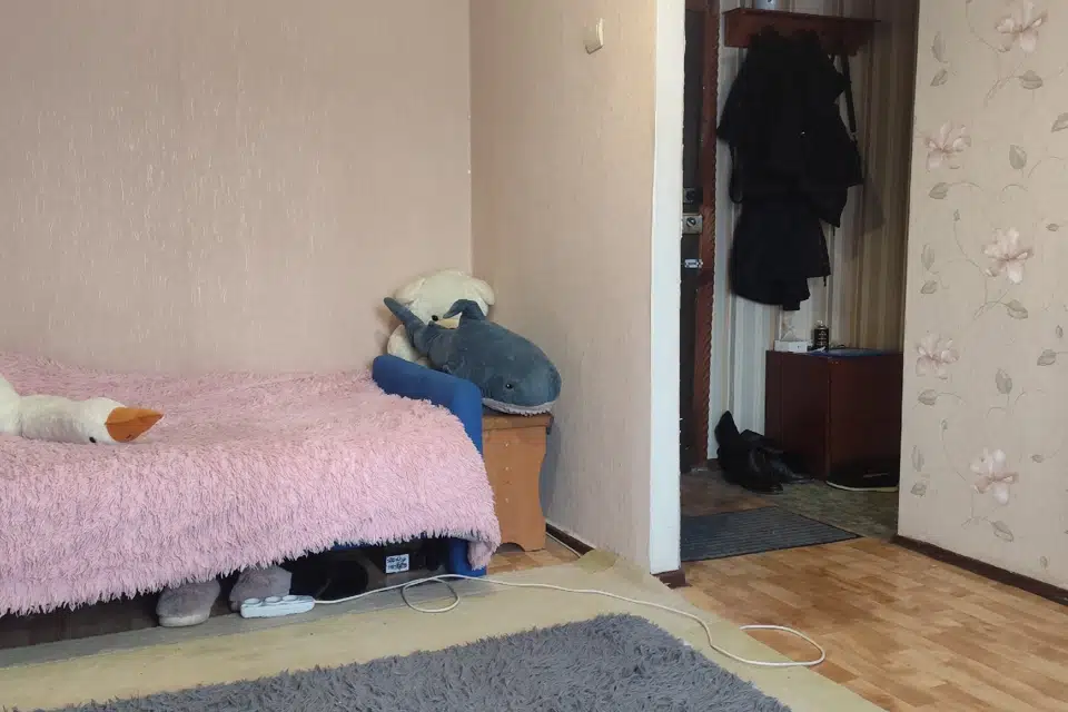 Продаётся 1-комнатная квартира, 24.7 м²